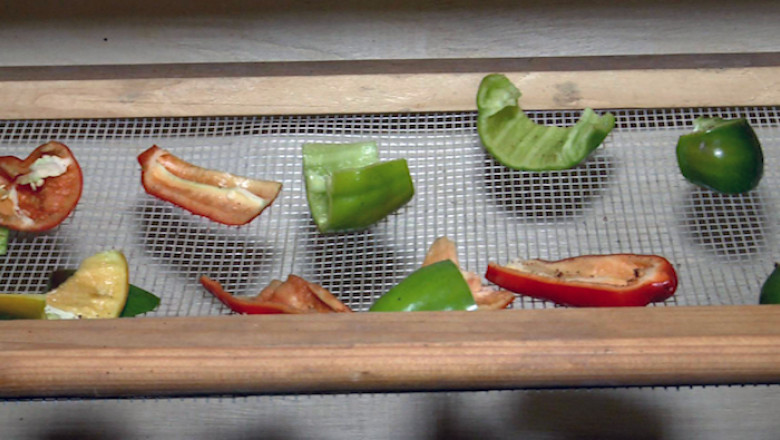 Procedeu de conservare unic in Europa Imagine