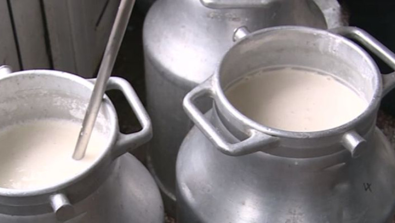 Producatorii de lapte se tem ca vor ajunge la faliment din cauza preturilor mici Imagine