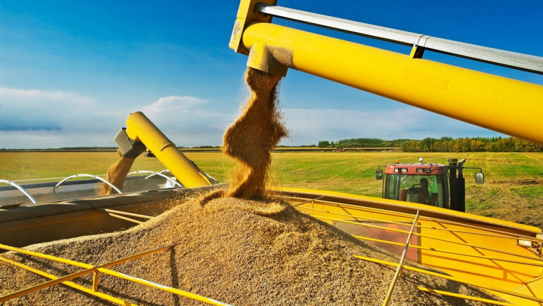 Productia agricola a Ucrainei ar putea sa isi revina abia peste 20 de ani Imagine