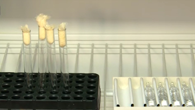 Productia de vaccinuri, preluata de Bucuresti dupa inchiderea filialei din Iasi a Institutului Cantacuzino  Imagine