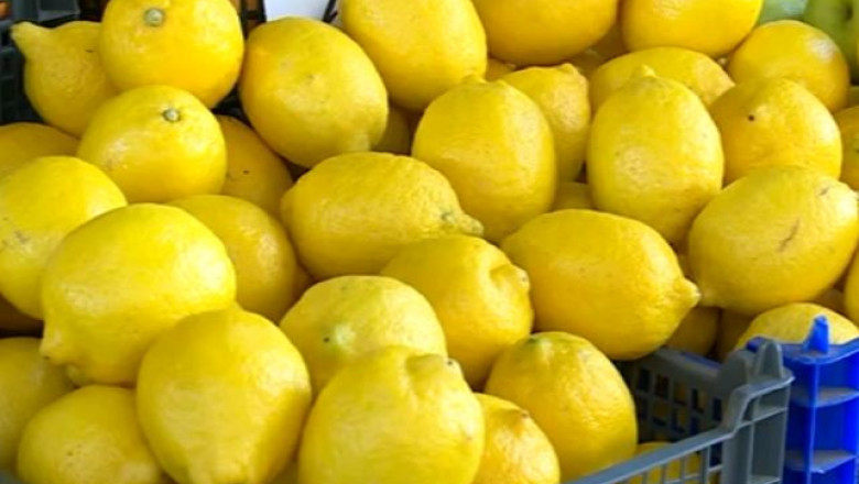 Productia slaba din Argentina a dublat pretul lamailor din pietele romanesti Imagine