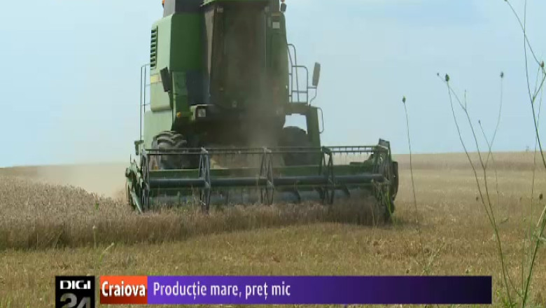Productie mare, pret mic la grau in Oltenia Imagine