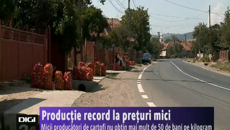 Productie record la preturi mici. Micii producatori de cartofi nu obtin mai mult de 50 de bani pe kilogram Imagine