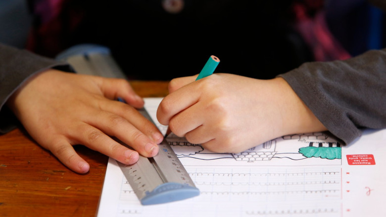 Profesoara din Timisoara acuzata ca a lovit un elev cu nevoi speciale. A fost deschis dosar penal Imagine