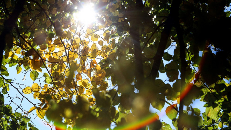 Prognoza ANM pentru urmatoarele doua saptamani, pe regiuni. Cand revin ploile Imagine