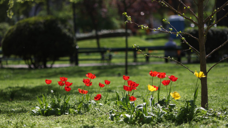 Prognoza ANM pentru urmatoarele doua saptamani: Temperaturi de pana la 26 de grade dar si ploi. Cum va fi vremea de Paste Imagine