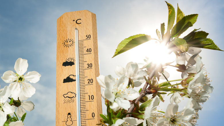 Prognoza meteo. Cum va fi vremea in prima saptamana de primavara Imagine