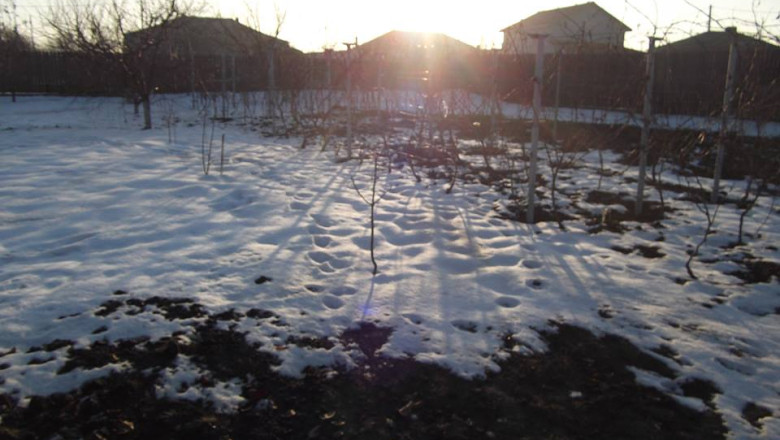 Prognoza meteo pe doua saptamani, pentru Banat si Crisana. Cand se raceste, cand va ninge Imagine