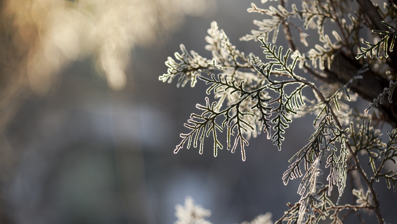 Prognoza meteo pentru luna decembrie: Cum va fi vremea de Craciun si Revelion Imagine