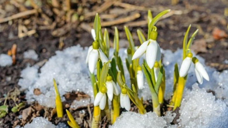 Prognoza meteo pentru perioada 13 - 26 februarie, pe regiuni. ANM anunta temperaturi de primavara Imagine