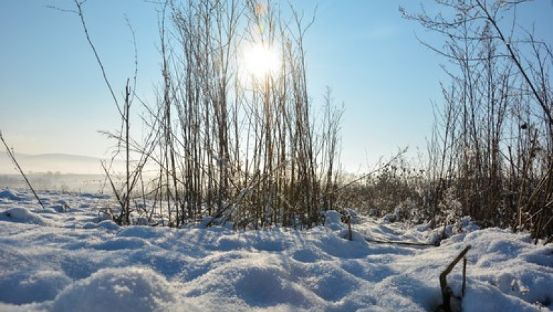 Prognoza meteo pentru perioada 30 ianuarie – 12 februarie, pe regiuni: Cum va fi vremea in urmatoarele saptamani si unde va ninge Imagine