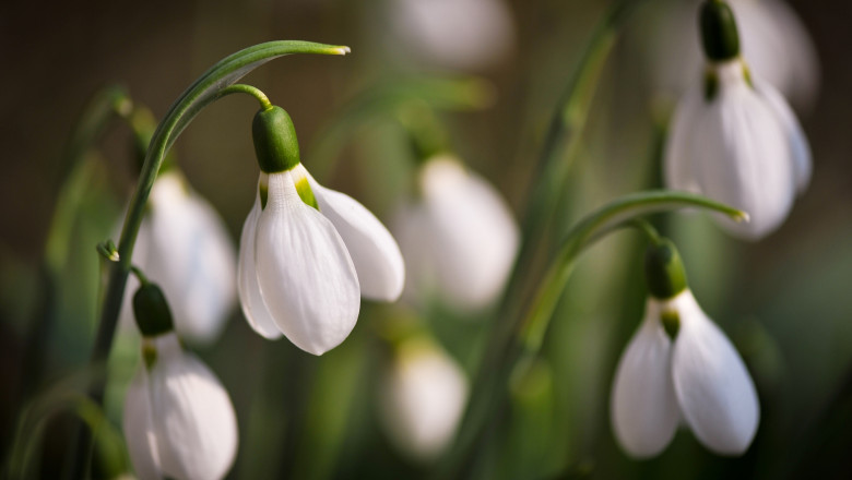 Prognoza meteo pentru urmatoarele doua saptamani. In unele zone vor fi chiar 16 grade Imagine