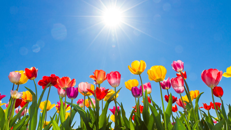 Prognoza meteo pentru urmatoarele patru saptamani. Cum va fi vremea pana la sfarsitul lunii mai Imagine