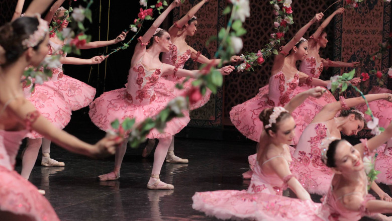 Program. Ziua Portilor Deschise la Opera Nationala Bucuresti, in 9 - 11 mai Imagine