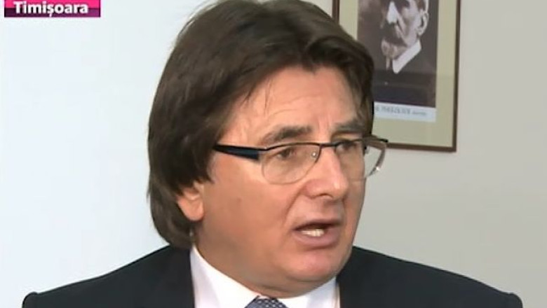 Programul de eutanasiere a cainilor fara stapan, efecte neasteptate la Timisoara. Mai multi maidanezi pe strazi! Ce vrea primarul sa faca Imagine