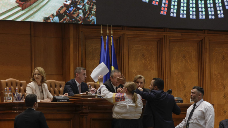 Proiect de lege: Persoanele agresive risca o interdictie de doi ani in Palatul Parlamentului Imagine