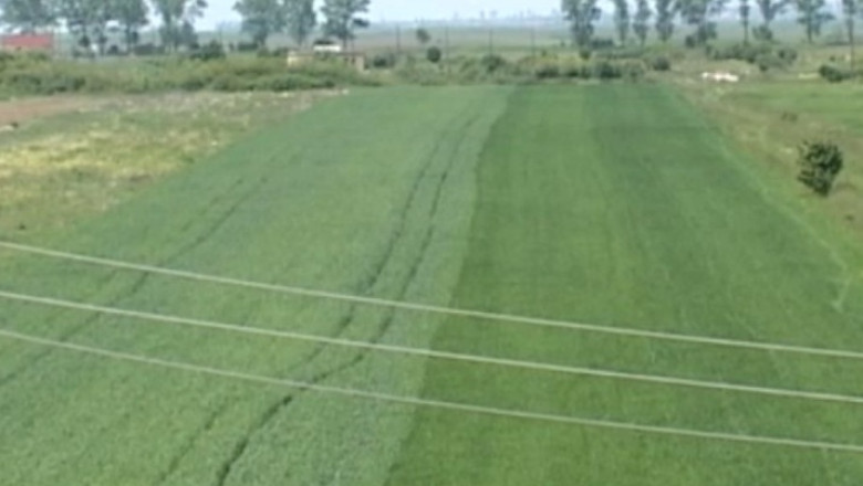 PROIECT. Guvernul limiteaza la 100 de hectare achizitia de terenuri Imagine