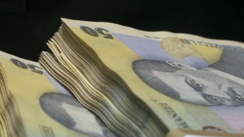 Proiect: Salariul de baza minim brut va creste in doua etape in 2015, de la 900 la 1.050 de lei Imagine