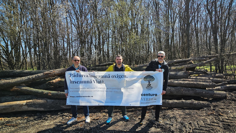 Proiectul de lege privind Centura Verde Bucuresti-Ilfov va fi inclus in Codul Silvic. Ce prevad amendamentele depuse Imagine