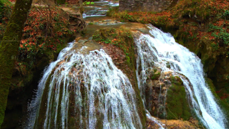 Promovare pentru conservare: Parcul National Cheile Nerei - Beusnita Imagine