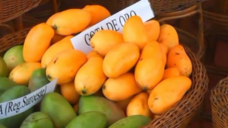 Promovarea produselor traditionale, in „fisa postului” de ambasador Imagine