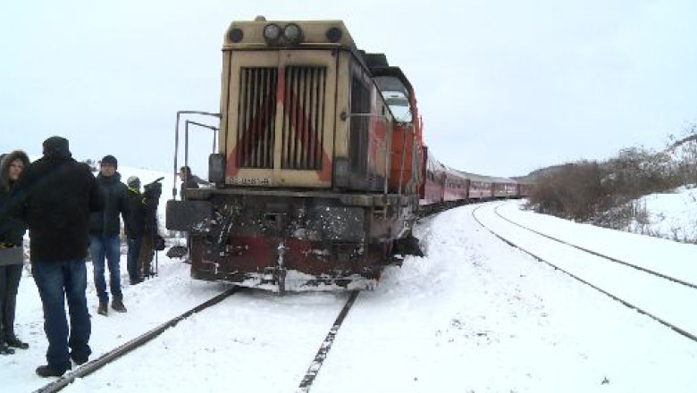 Proprietarii bivolilor implicati in accidentul feroviar din judetul Cluj, buni de plata Imagine