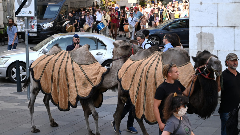 Protest cu camile la Budapesta. Fermierii trag un semnal de alarma asupra pericolului desertificarii Ungariei Imagine