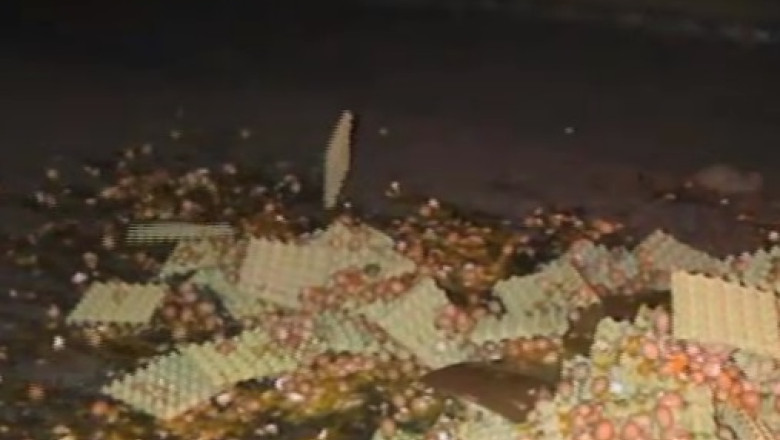 Protest cu oua sparte. Fermierii francezi sunt nemultumiti de preturile mici Imagine