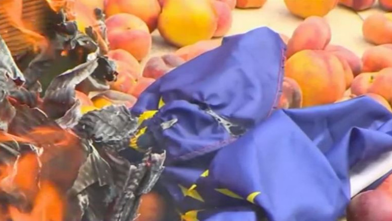 Protest cu piersici in Spania. Zeci de fermieri sunt afectati de embargoul impus de Rusia Imagine