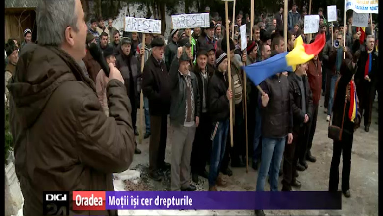 Protest in Garda de Sus (jud. Alba) impotriva taierilor industriale de lemn Imagine