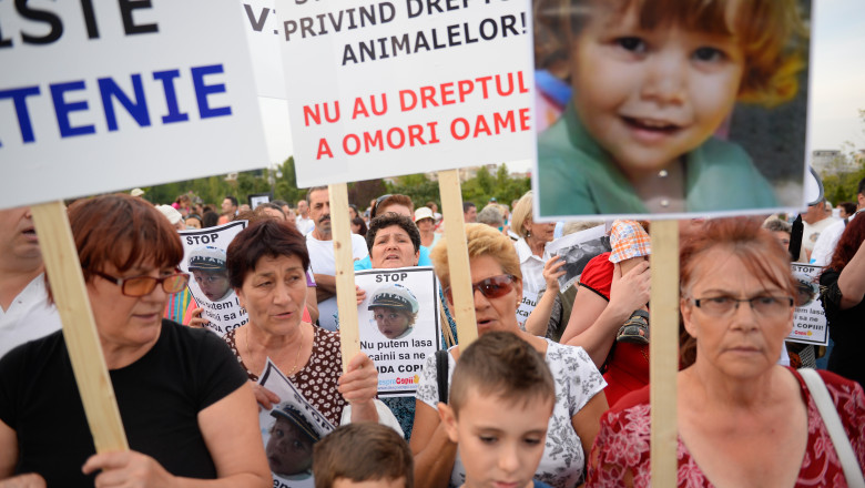 Protest in Parcul Izvor impotriva cainilor maidanezi. Oamenii au cerut demisia primarului Sorin Oprescu Imagine
