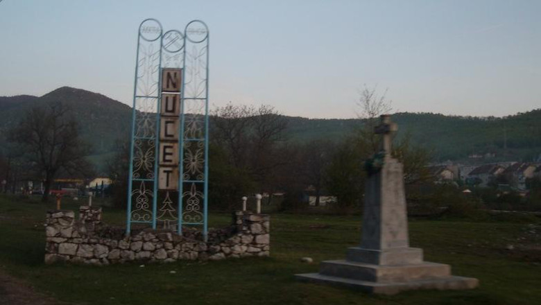 Protestatarii de la Centrul de Psihiatrie de la Nucet au renuntat la greva foamei Imagine