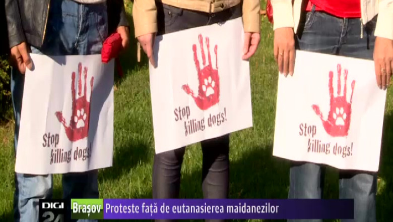 Proteste fata de eutanasierea maidanezilor Imagine