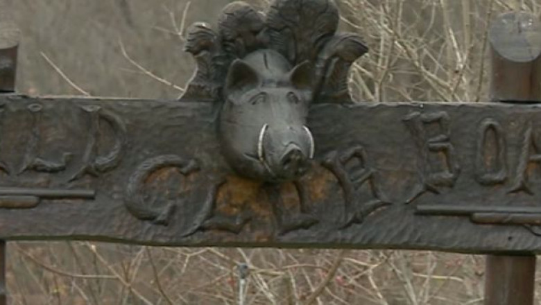 Proteste la poarta bogatilor. O asociatie pentru protectia animalelor condamna vanatoarea de la Balc Imagine