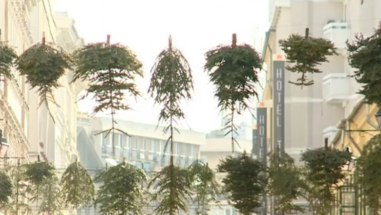 Protestul brazilor taiati de Craciun, la Timisoara Imagine