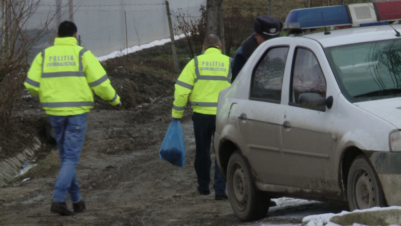 Prunc ingropat in curtea casei Imagine