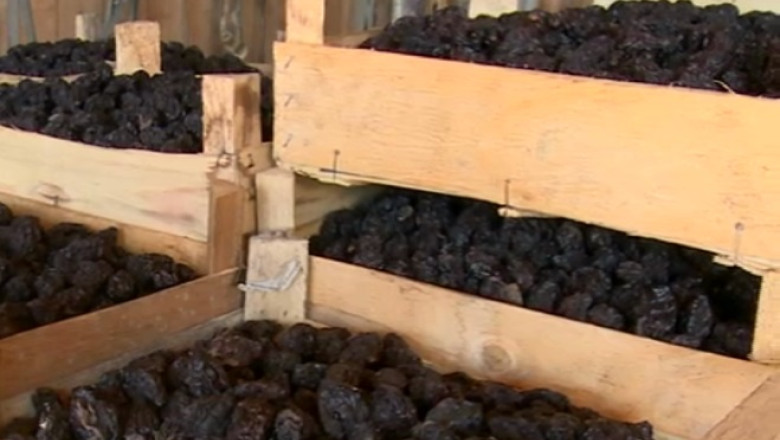 Prune uscate in Olt, delicatese pentru straini Imagine