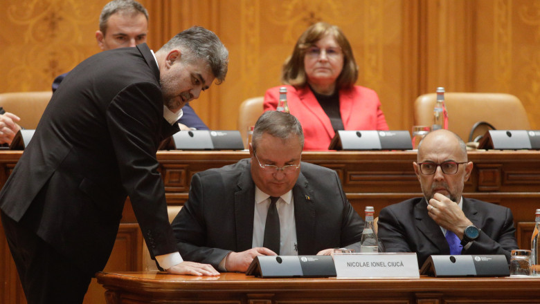 PSD: PNL trebuie sa se hotarasca daca sustine sau nu taxa de solidaritate Imagine