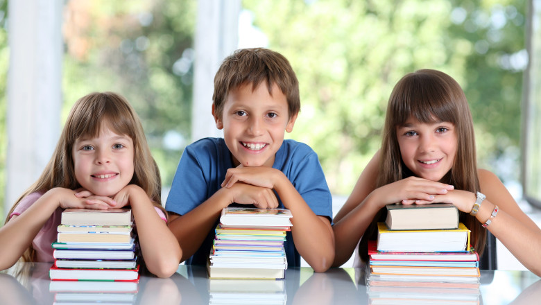 Purtatorul de cuvant ANAF Alba: Au fost impozitate veniturile din depozitele bancare, nu alocatiile copiilor. Softul nu are nicio exceptie inclusa Imagine