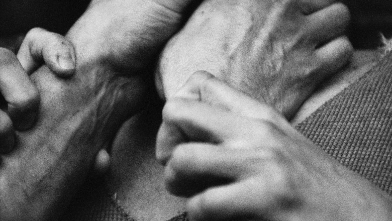 "A incercat sa ma stranguleze cu lesa cainelui". Un barbat din Timisoara a fost agresat in parc, in timp ce isi plimba cainele Imagine