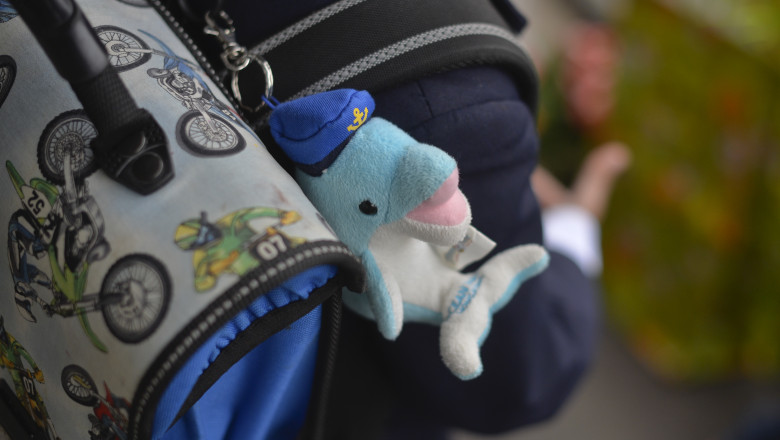 "Copilul intra in scoala de masa cu deficiente si iese de acolo handicapat" - afirmatii pentru care a fost sesizat CNCD Imagine