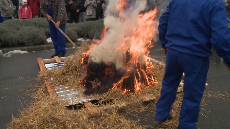 "D'ale porcului". 24 de echipe s-au intrecut in prepararea specialitatilor din porc, in parcarea unui mall Imagine