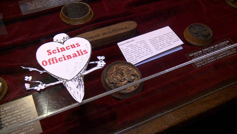 "Istoria afrodiziacelor", la Muzeul Farmaciei. Expozitia este deschisa timp de trei luni, iar un bilet costa 3 lei Imagine