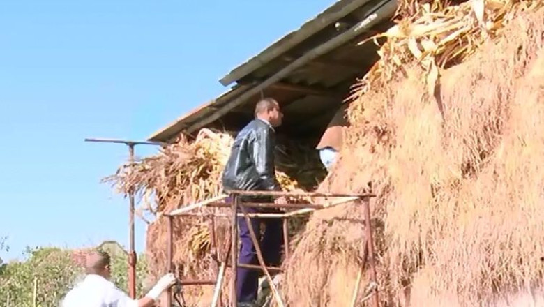 "Negustori" de terenuri, adusi cu picioarele pe pamant Imagine