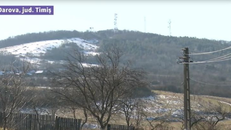 "Proprietari" peste o padure taiata. Situatie complicata la Darova, in judetul Timis Imagine