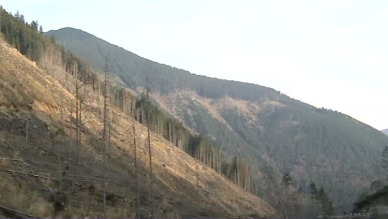 "RADARUL PADURILOR", obligatoriu din 8 octombrie. Cum va functiona sistemul? Imagine