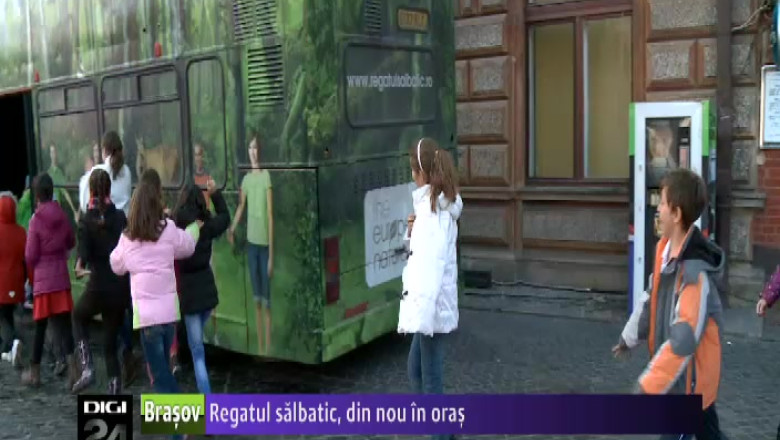 "Regatul salbatic", din nou in oras Imagine