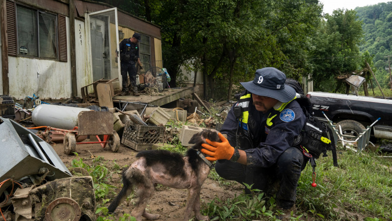 "Vom gasi cadavre saptamani de acum incolo". In Kentucky devastat de inundatii, salvatorii merg din usa in usa pentru a numara mortii Imagine
