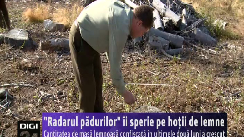 “Radarul padurilor” ii sperie pe hotii de lemne   Imagine