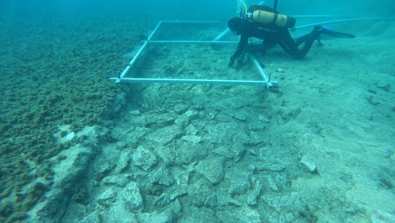Ramasitele unui drum de piatra de 7.000 de ani au fost descoperite sub apa, langa tarmul Croatiei Imagine
